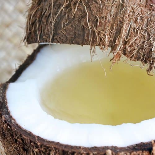 Fiji coconut